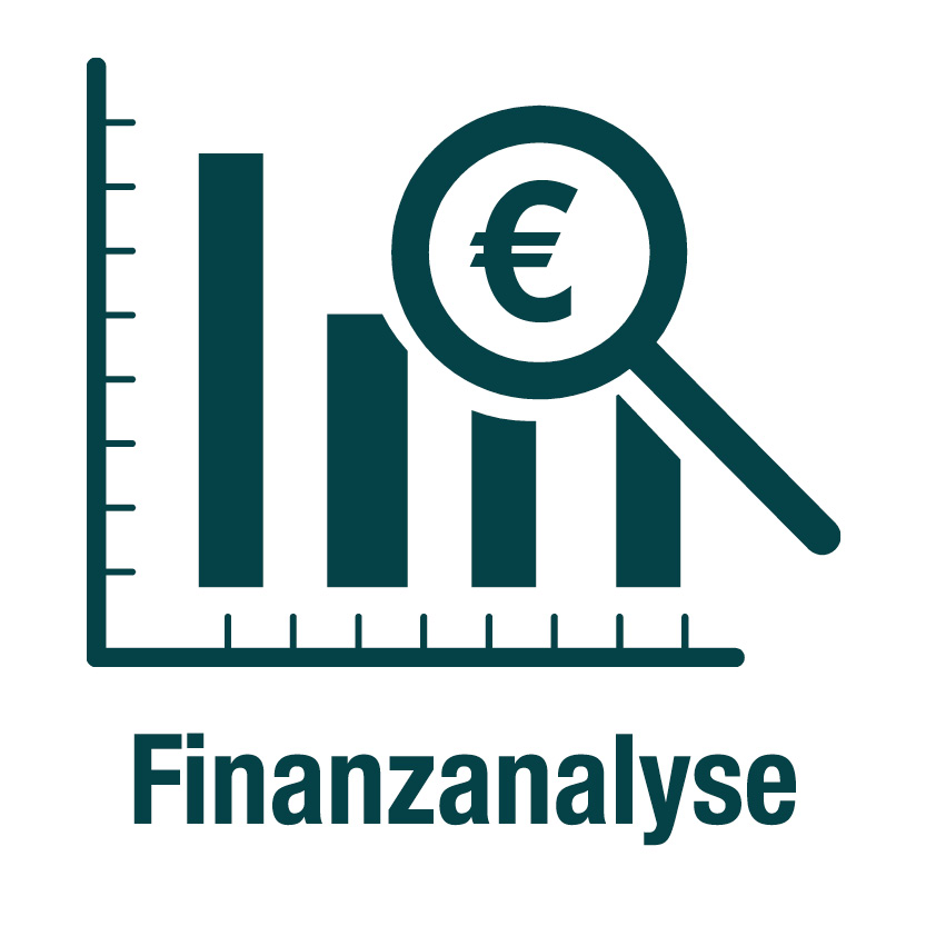 Icon - Finanzanalyse €